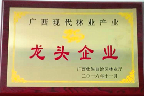 廣西現代林業產業龍頭企業