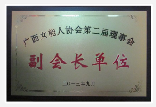 廣西女能人協會副會長單位