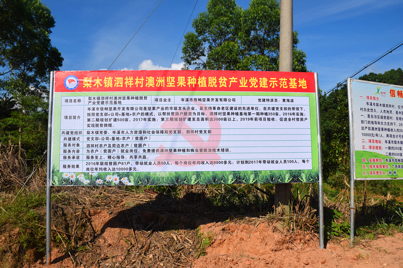信暢堅果精準扶貧項目泗祥基地